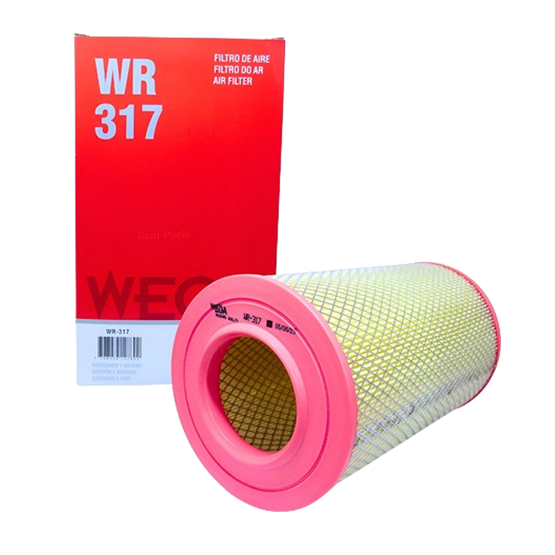 WR317 - Filtro de AR - Ducato até 2017